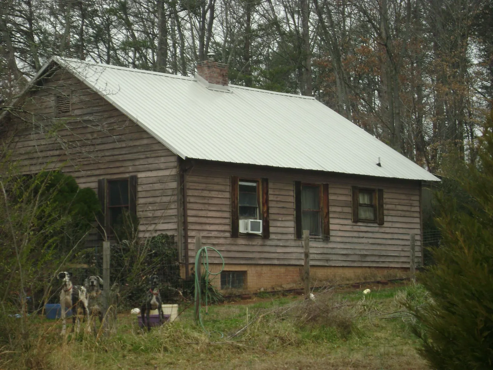 White metal roof on an old wood sided farmhouse, from a Metal Roof Installation job in Rollinsville
